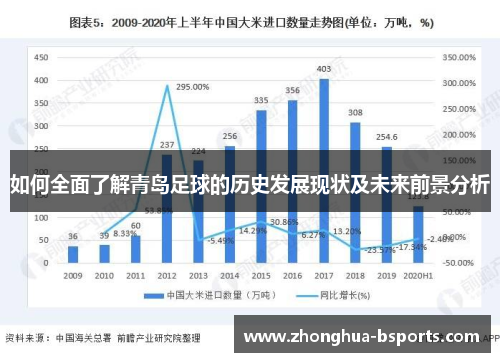 如何全面了解青岛足球的历史发展现状及未来前景分析