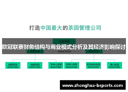 欧冠联赛财务结构与商业模式分析及其经济影响探讨